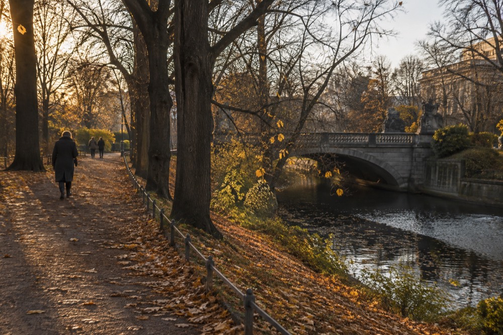 Autumn tree-lined avenue in a European city with fallen leaves and a stone bridge