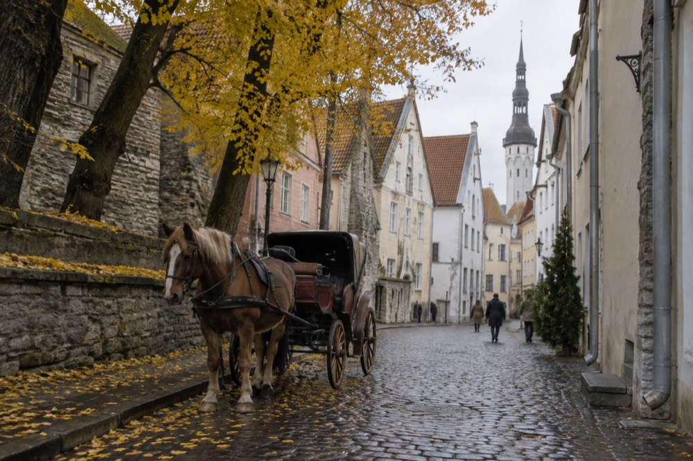 An autumn street with golden trees and a horse-drawn carriage in a European old town